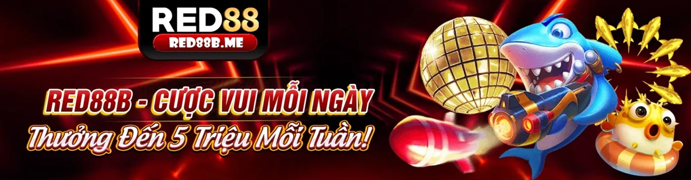 Hình ảnh cam kết tuân thủ GDPR của SA88 App